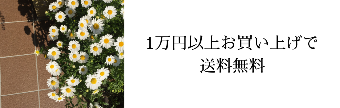 1万円以上お買い上げで送料無料